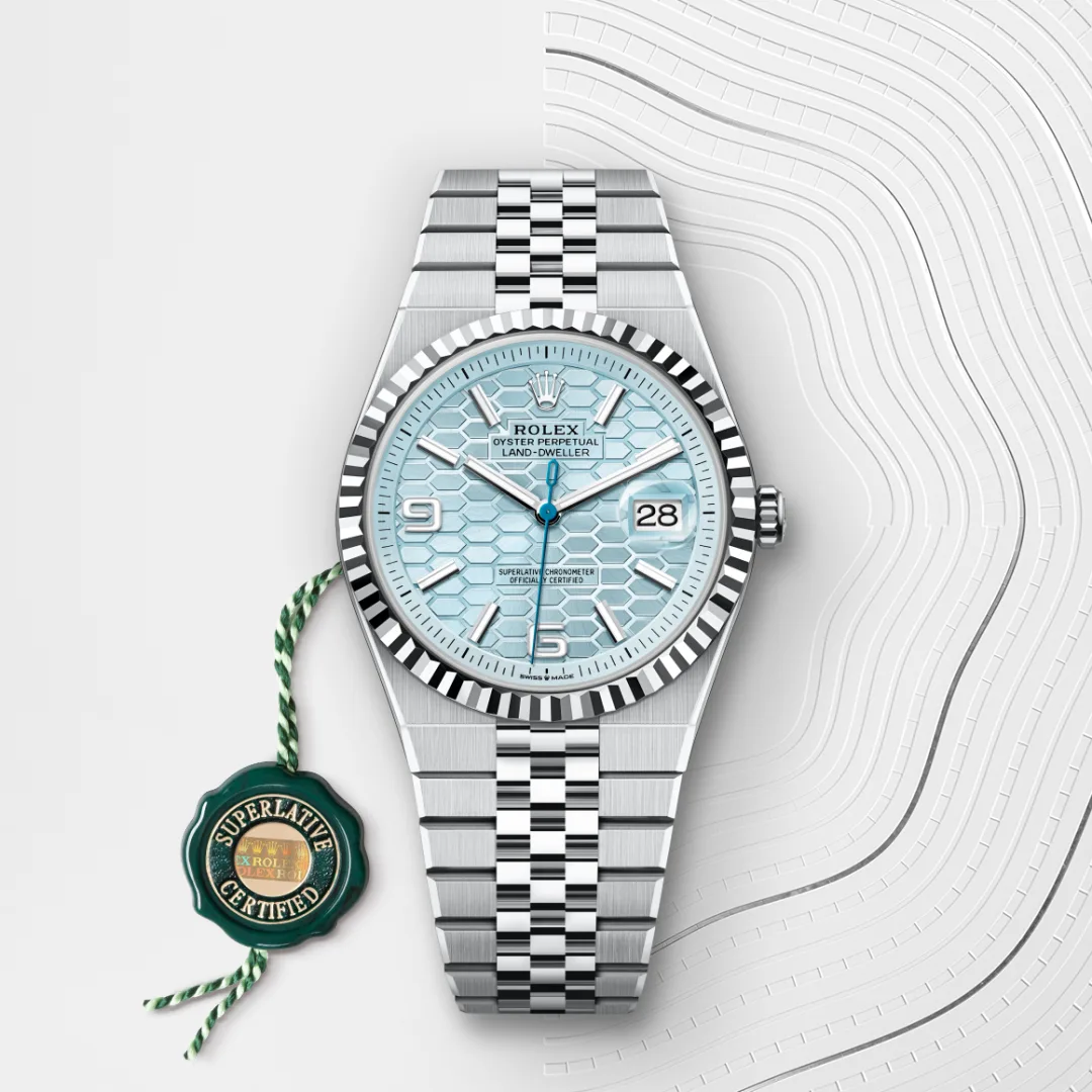 Rolex Land-Dweller 36 Ice Blue - view 5