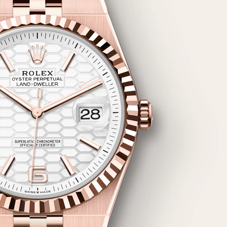 Rolex Land-Dweller 36 Intense White - view 4