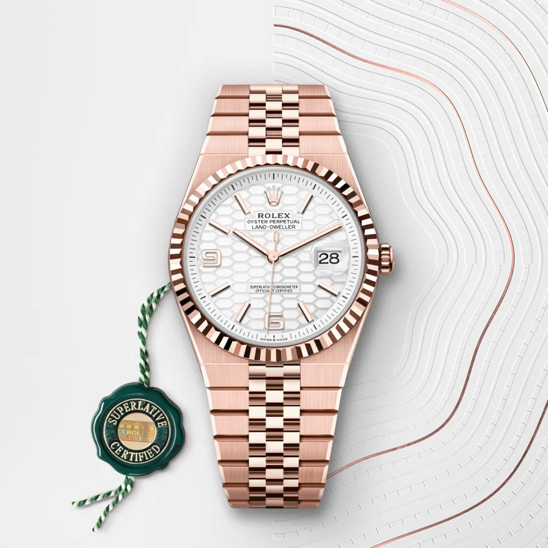 Rolex Land-Dweller 36 Intense White - view 5
