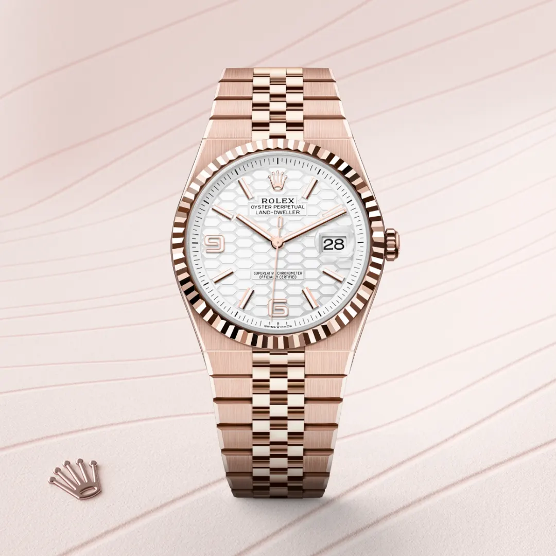 Rolex Land-Dweller 40 Intense White - view 3